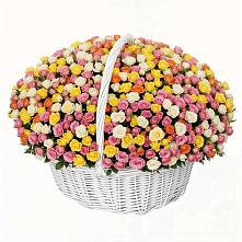 Премиум букет из: Розы #REPLACE_PRED# Оржицы