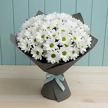 Букет цветов из:  Хризантемы в Оржицы