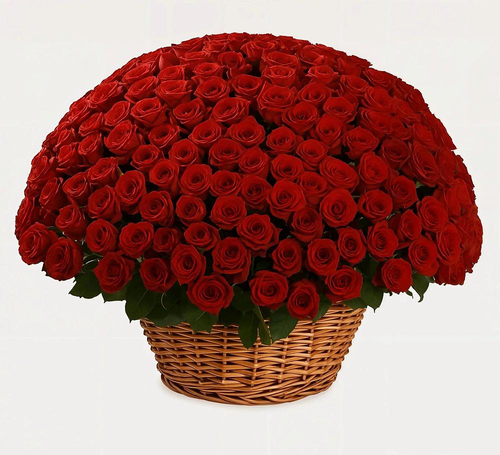 Премиум букет из: Розы в Оржицы