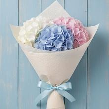 Букет цветов из:  Гортензия в Оржицы