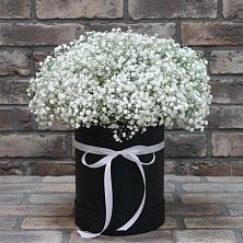 Цветочная композиция из Гипсофила в шляпной коробке в Оржицы